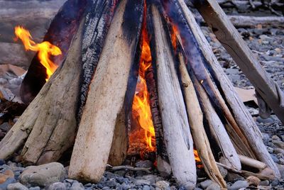 Bonfire on wooden log