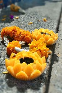 Close-up of yellow flowers