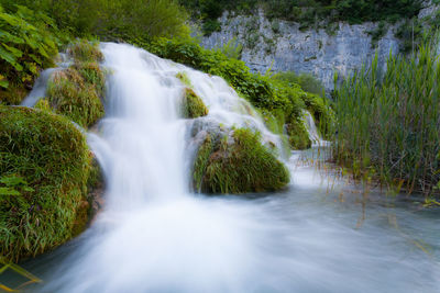 View of waterfall in forest