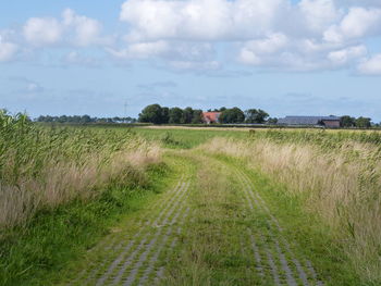 Scenic view of field against sky