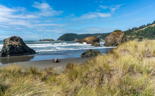 A view of meyers creek beach with waves and rock formations on the coast of oregon state.