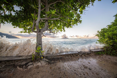 Scenic view of beach