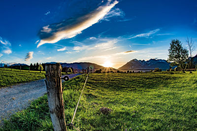 Scenic view of field against sky