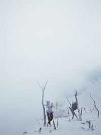 Horse on field against clear sky during winter