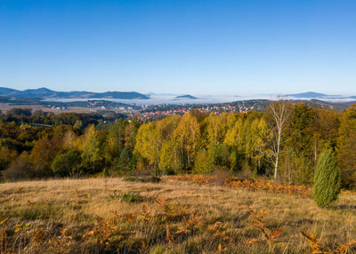 Scenic view of landscape against clear sky