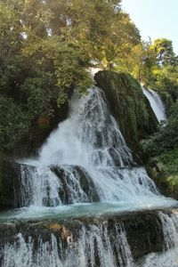 Scenic view of waterfall in forest