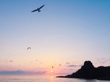 Silhouette bird flying over sea against clear sky