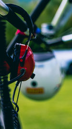 Close-up of red bicycle hanging on plant