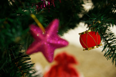 Close-up of red christmas tree