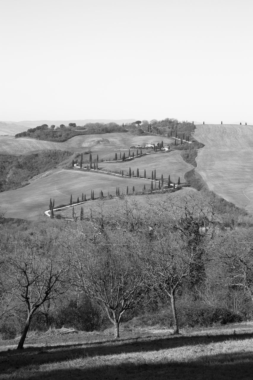 HIGH ANGLE VIEW OF TREES ON FIELD AGAINST SKY