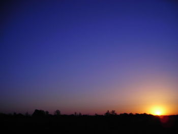 Silhouette trees against sky at night