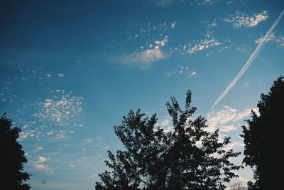 Low angle view of silhouette trees against blue sky