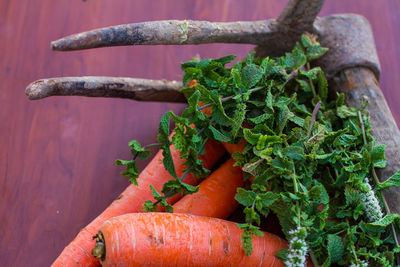 Close-up of fresh vegetables