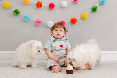 Portrait of baby boy with dogs sitting on floor at home