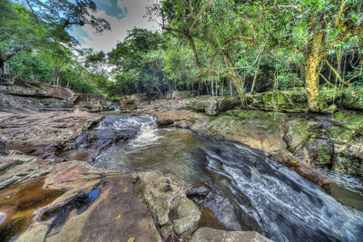 Stream flowing through rocks in forest