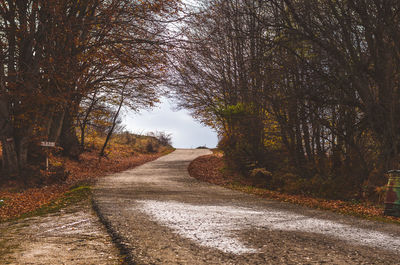 Road amidst trees against sky during autumn