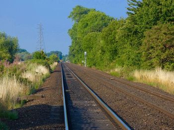 Railroad tracks amidst trees against sky