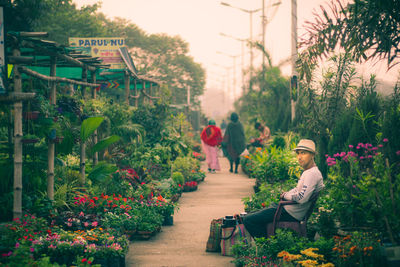 Potted plants in garden