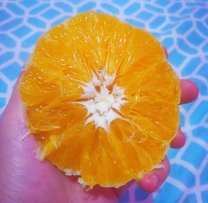 Close-up of orange slice