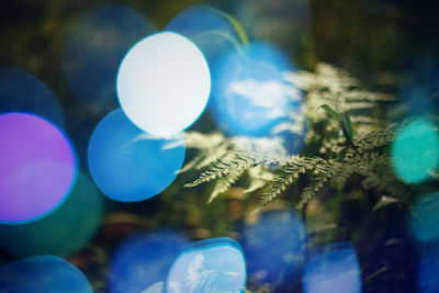 Low angle view of balloons against blue sky