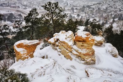 Snow covered trees on landscape