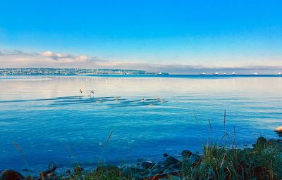 Scenic view of sea against blue sky