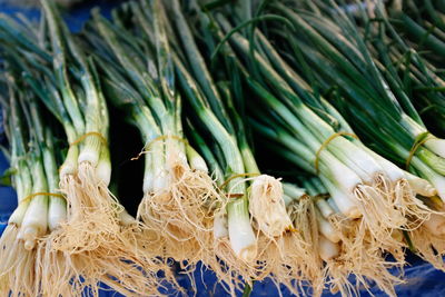 High angle view of vegetables for sale in market