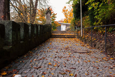 Footpath amidst leaves in park during autumn