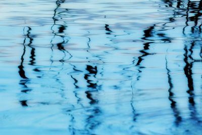 Reflection of trees in water