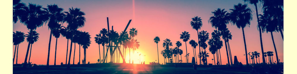 Silhouette palm trees on beach against sky during sunset