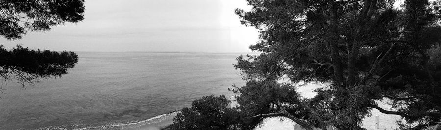 High angle view of trees by sea against sky