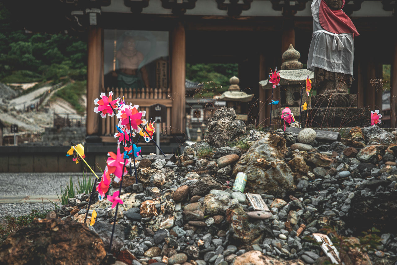 flowering plant, nature, flower, plant, architecture, built structure, day, no people, building exterior, outdoors, building, religion, large group of objects, belief, spirituality, tradition