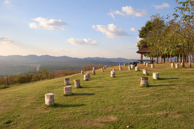 cemetery