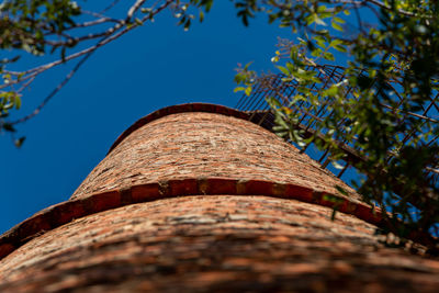 Low angle view of tree trunk against blue sky