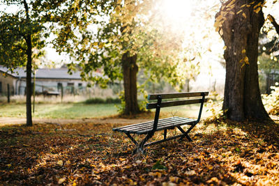 Empty bench in park during autumn