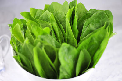 Close-up of vegetables