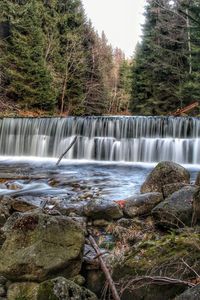 Scenic view of waterfall in forest