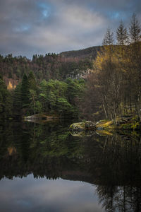 Reflection of trees in lake against sky