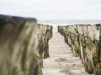 Wooden posts on beach against sky