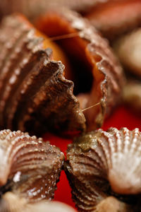 Fresh mussels macro photo