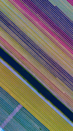 multi colored