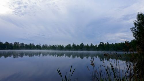 Reflection of trees in calm lake