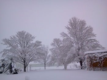 Scenic view of snow covered landscape