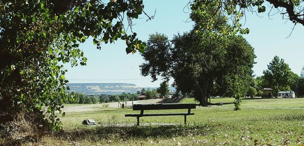 Empty bench in park