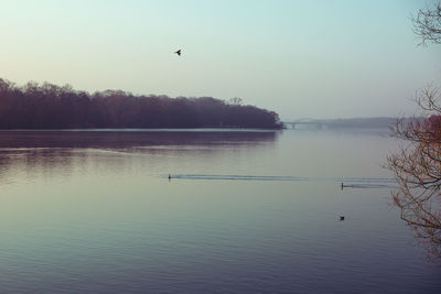 Silhouette birds flying over lake against sky