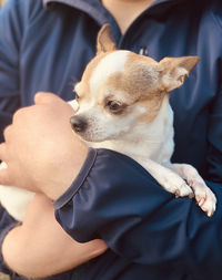 Midsection of man holding small dog