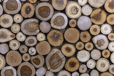 Full frame shot of logs in forest