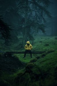 Rear view of man on field in forest