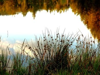 Scenic view of lake against sky