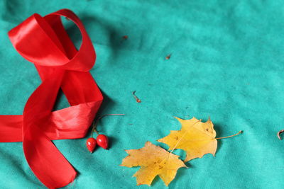 High angle view of maple leaves on table